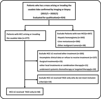 Superselective Transarterial Chemoembolization for Unresectable or “Ablation Unsuitable” Hepatocellular Carcinoma in the Caudate Lobe: A Real World, Single-Center Retrospective Study